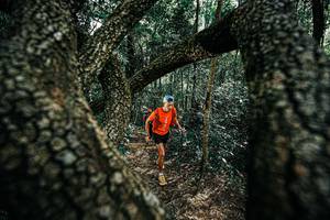 BIB: 
                            <button type="button" onclick="openModal(25392397)" class="btn btn-primary btn-sm float-right btn-popup" data-toggle="modal" data-target=".modal-high-quality">
                        <i class="fas fa-shopping-cart"></i> Add to Cart
                    </button>
                                            <button type="button" onclick="isThisMe(25392397, true)" class="btn btn-success btn-sm float-right btn-popup btn-isme hidden" data-toggle="tooltip" data-placement="bottom" title="นี่คือรูปของคุณใช่ไหม คลิกที่นี่เพื่อเอาเข้าอัลบั้ม">
                        <i class="fas fa-plus"></i> Add to album
                    </button>
                    <button type="button" onclick="isThisMe(25392397, false)" class="btn btn-warning btn-sm float-right btn-popup btn-isnotme hidden">
                        <i class="fas fa-ban"></i> Remove from album
                    </button>